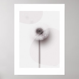 X-ray Botanical Art - Dandelion Poster