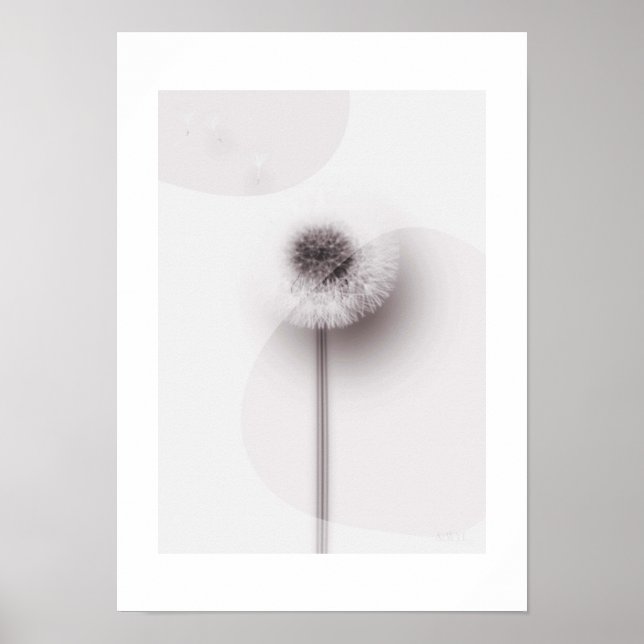 X-ray Botanical Art - Dandelion Poster (Framsidan)