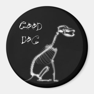 X-RAY BRA HUND SKELETON SITTA - B&W MAGNET