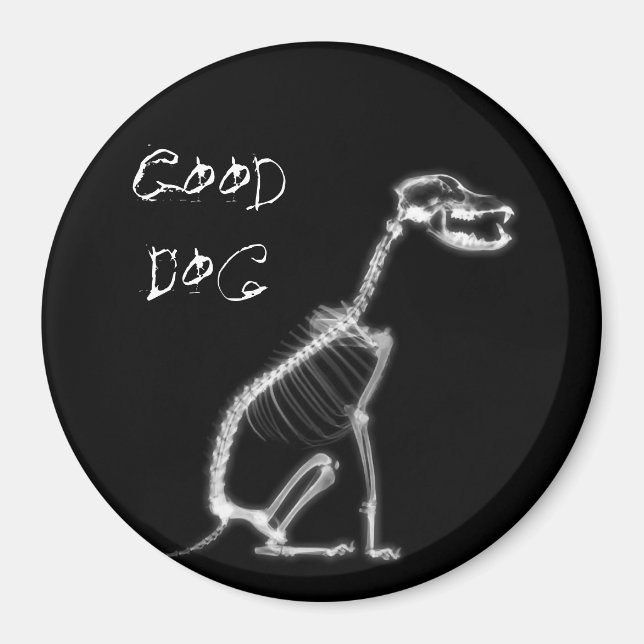 X-RAY BRA HUND SKELETON SITTA - B&W MAGNET (Framsidan)