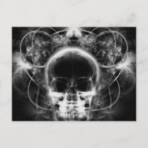 X&Ray Butterfly Fractal Skull - B&W