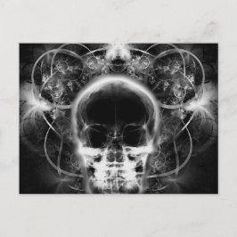 X&Ray Butterfly Fractal Skull - B&W Vykort