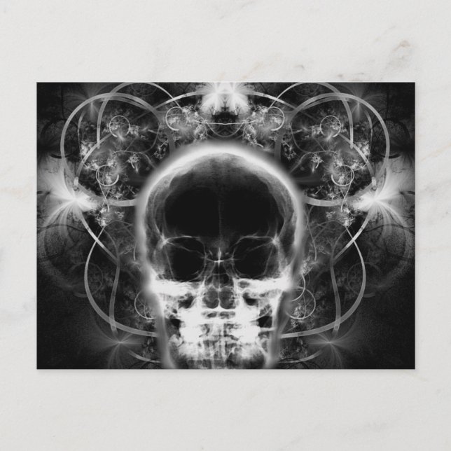 X&Ray Butterfly Fractal Skull - B&W Vykort (Framsida)