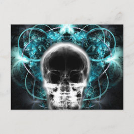 X-Ray Butterfly Fractal Skull - Light Blue Vykort