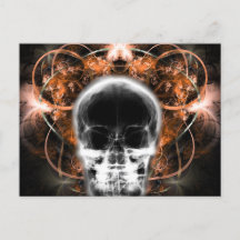 X-Ray Butterfly Fractal Skull - Orange