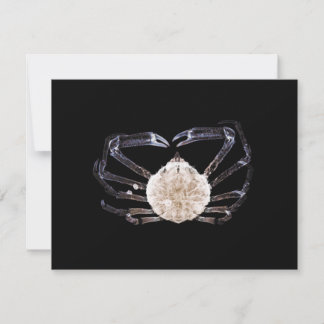 X-Ray Crab Anteckningskort