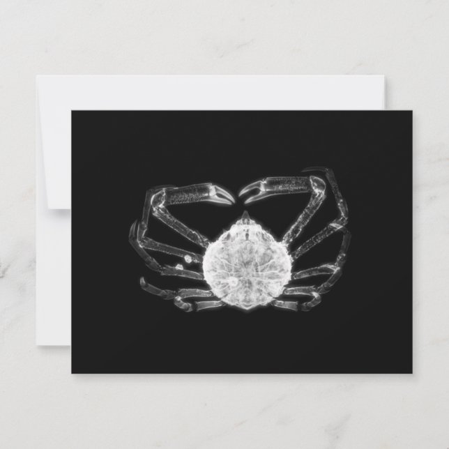X-Ray Crab Anteckningskort (Framsida)