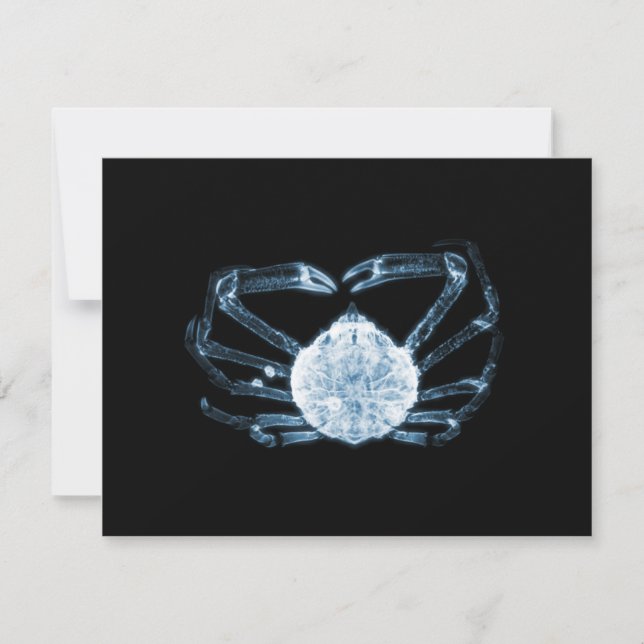 X-Ray Crab Anteckningskort (Framsida)