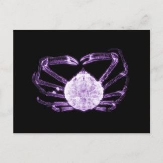 X-Ray Crab Vykort