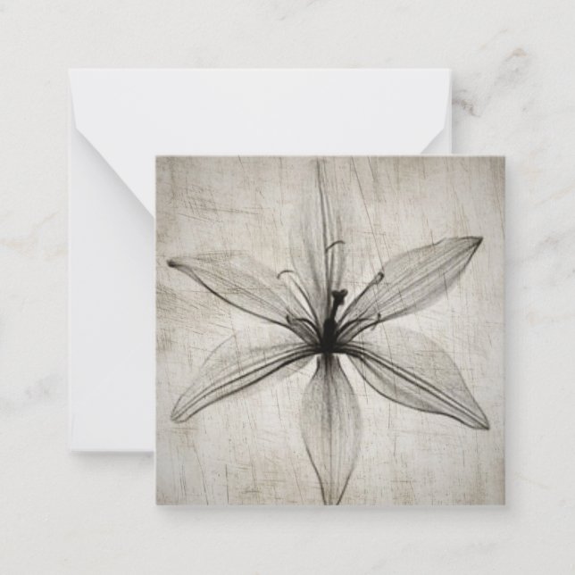 X-Ray Flower med en Vintage Anteckningskort (Framsida)