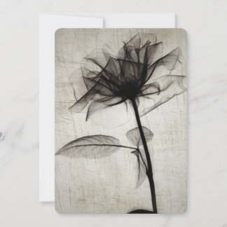 X-Ray Flower med stor Vintage