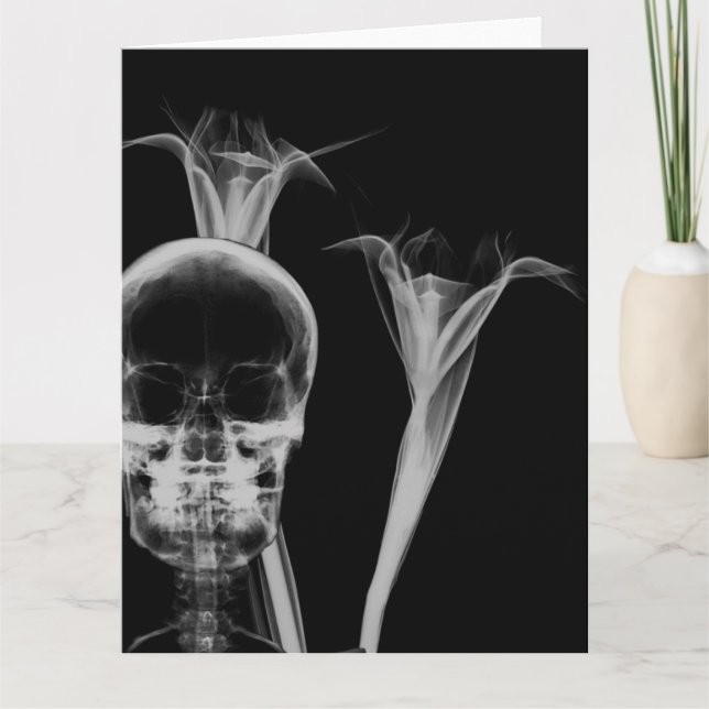 X-Ray Flowers & Skull - B&W Kort (Framsida)