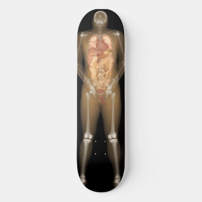 X-Ray Man Deck - Longboard Skateboard Bräda 21,5 Cm (Framsida)