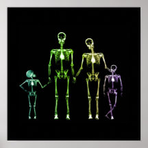 X-Ray Skeleton-familjen - Multifärgad 1