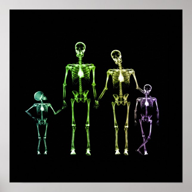 X-Ray Skeleton-familjen - Multifärgad 1 Poster (Framsidan)