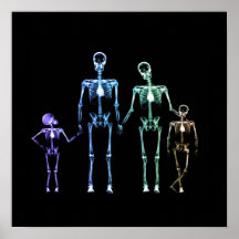 X-Ray Skeleton-familjen - Multifärgad 3