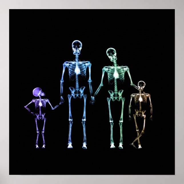 X-Ray Skeleton-familjen - Multifärgad 3 Poster (Framsidan)