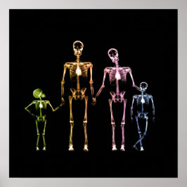 X-Ray Skeleton-familjen - Multifärgad 4 Poster