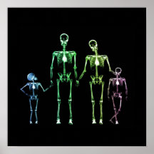 X-Ray Skeleton-familjen - Multifärgad 5