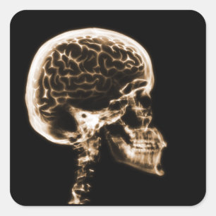 X-RAY SKULL BRAIN - ORANGE FYRKANTIGT KLISTERMÄRKE