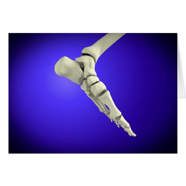 X-Ray View of Human Foot 2 Hälsningskort (Framsidan Horizontal)