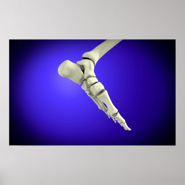 X-Ray View of Human Foot 2 Poster (Framsidan)