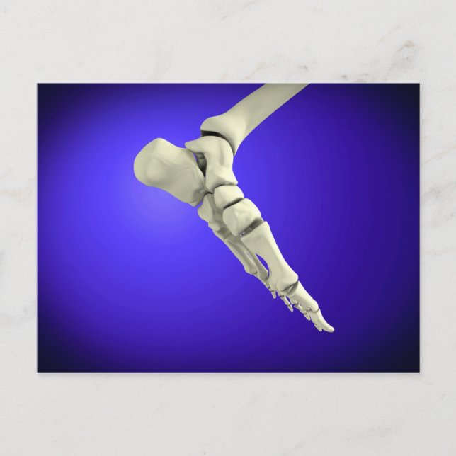 X-Ray View of Human Foot 2 Vykort (Framsida)