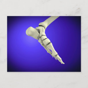 X-Ray View of Human Foot 2 Vykort