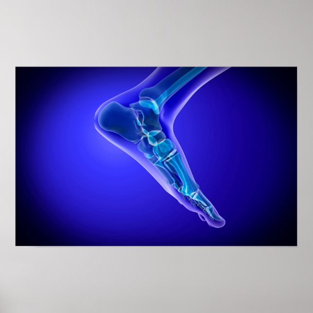 X-Ray View of human Foot 3 Poster (Framsidan)