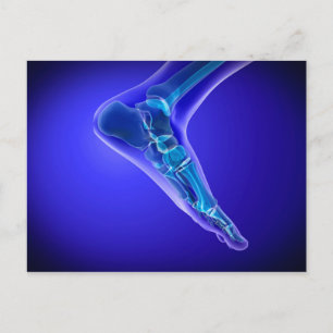 X-Ray View of human Foot 3 Vykort