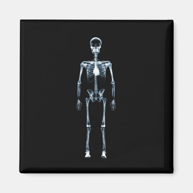 X-Ray Vision Blue Single Skeleton Magnet (Framsidan)
