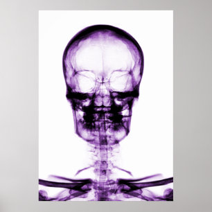 X-RAY VISION SKELETON SKULL - LILA POSTER
