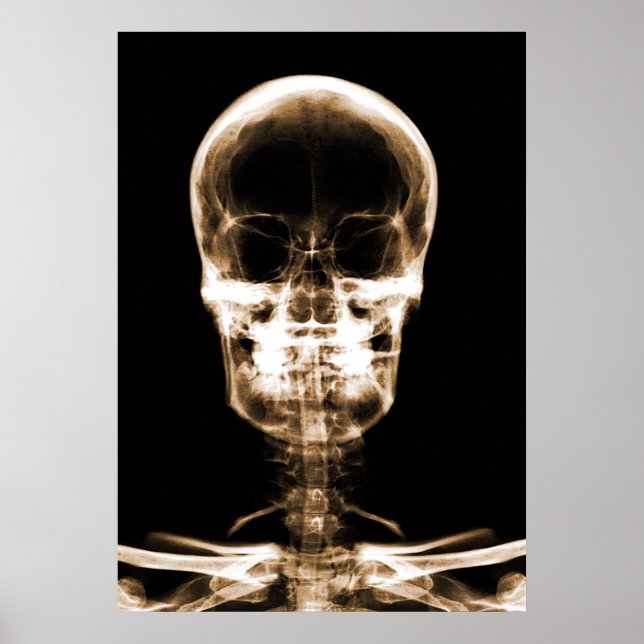 X-RAY VISION SKELETON SKULL - ORANGE POSTER (Framsidan)