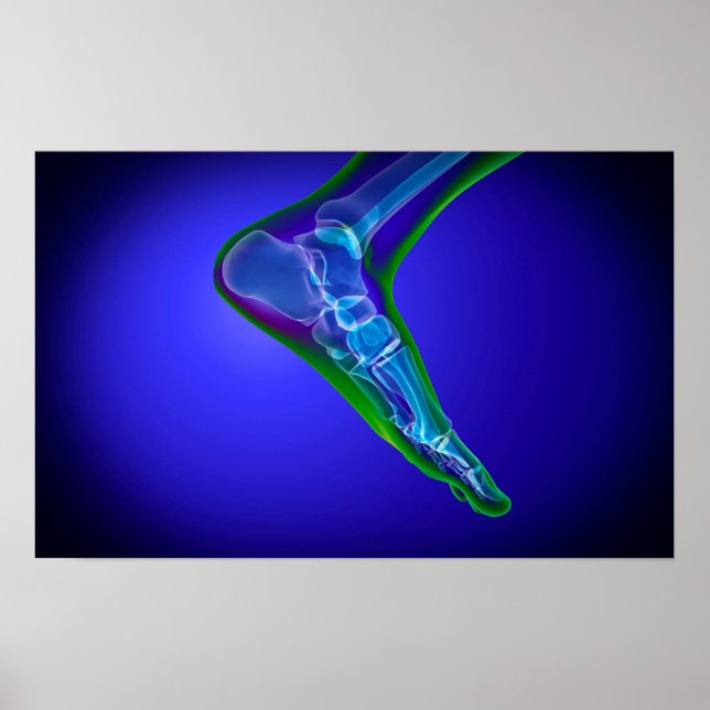 X-Ray-vy av humant fot 1 Poster (Framsidan)