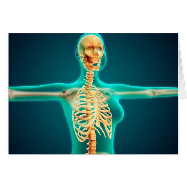 X-Ray-vy över kvinnlig överkropp som visar revbens Hälsningskort (Framsidan Horizontal)