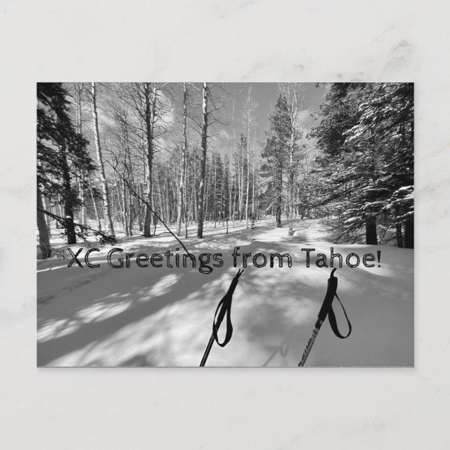 XC Hälsning från Tahoe! Vykort (Framsida)