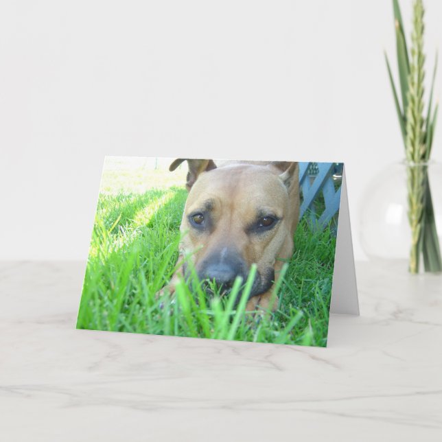 Xena i kort (Framsida)