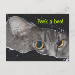 Xena peek-a-boo-vykort - anpassat vykort