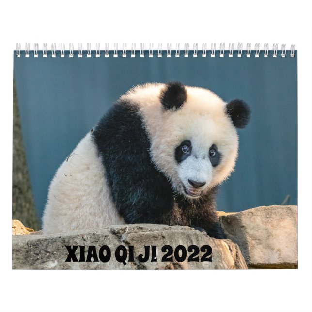 Xiao Qi Ji 2022-kalender Kalender (Omslag)