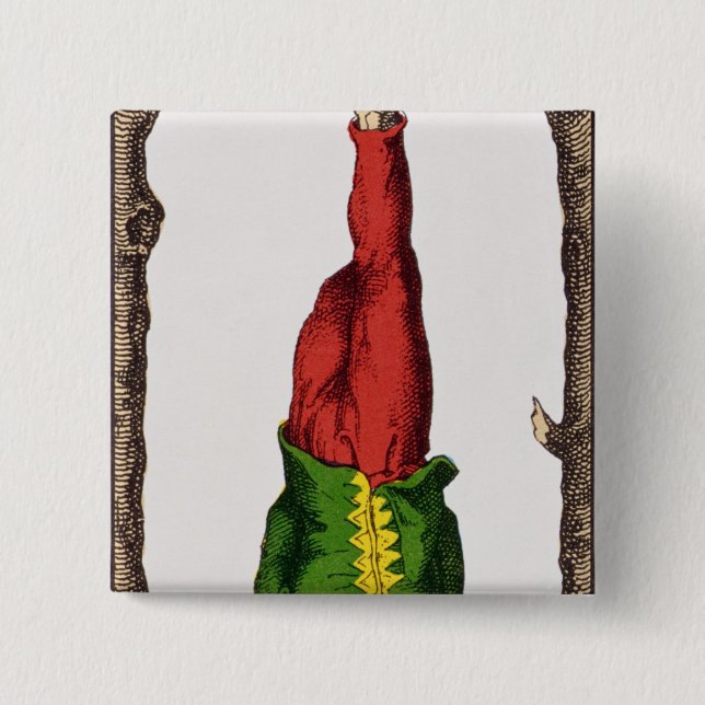 XII den hängda manen, tarotkort Knapp (Framsida)