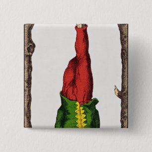 XII den hängda manen, tarotkort Knapp