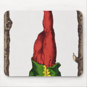 XII den hängda manen, tarotkort Musmatta