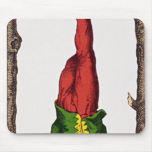 XII den hängda manen, tarotkort Musmatta (Framsidan)