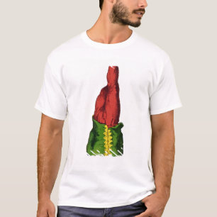 XII den hängda manen, tarotkort Tee