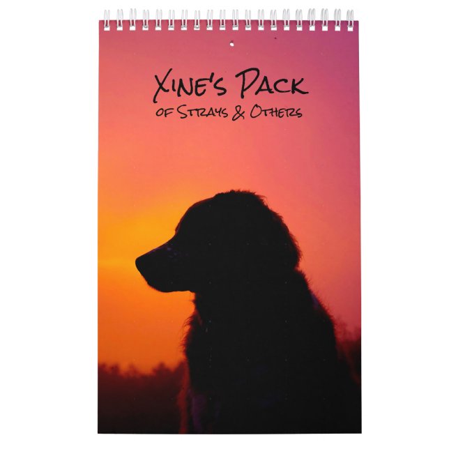 Xine's Pack of Strays & Others Calendar Kalender (Omslag)