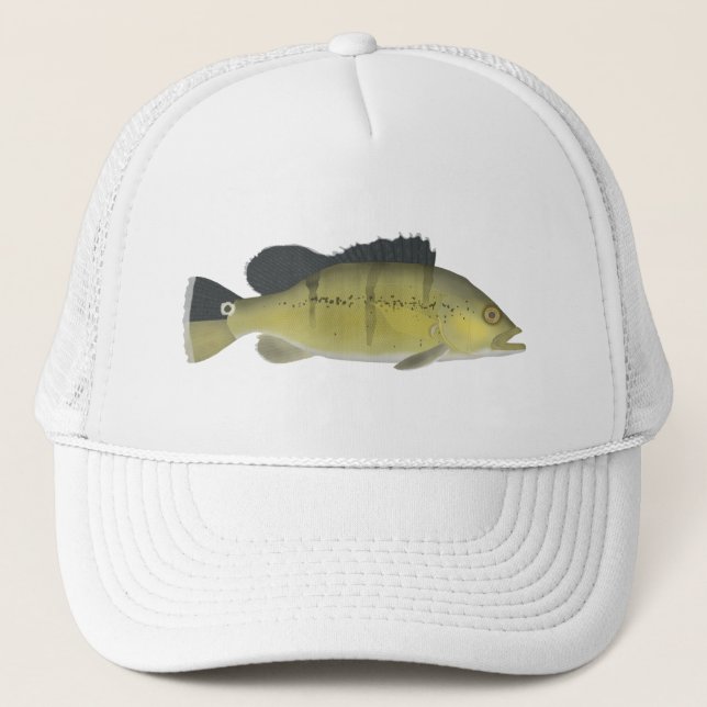 Xingu Peacock Bass Keps (Framsida)
