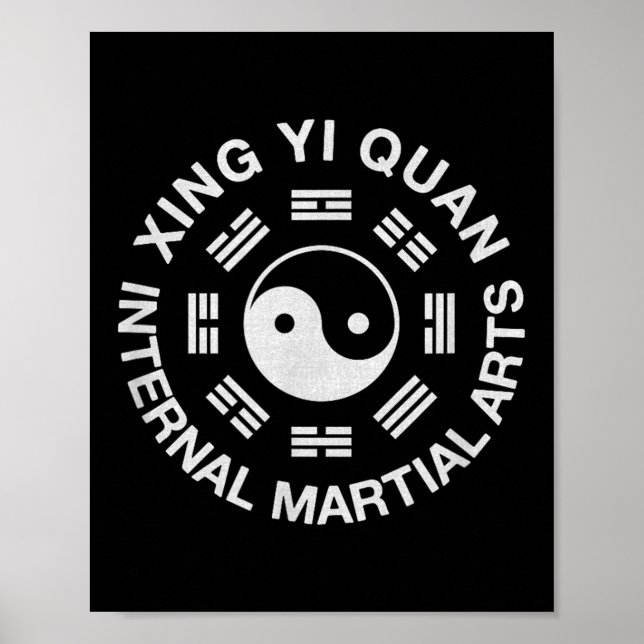 Xingyi Internal Martial Arts  Poster (Framsidan)
