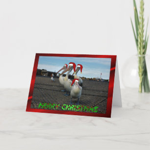 Xma för jul för humor för julpelikanfamilj rolig helgkort