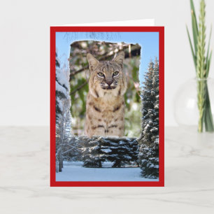 xmas-bobcat-20 helgkort