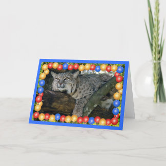 xmas-bobcat-24 helgkort
